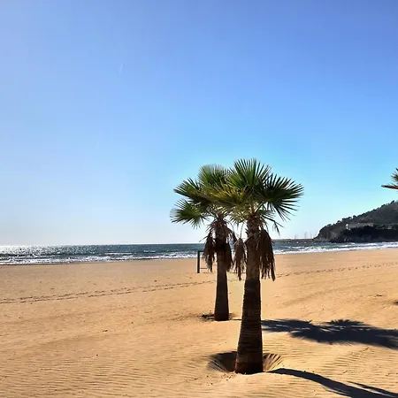 Oropesa Playa Oropesa del Mar